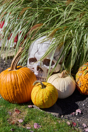 Halloween spooky characters /displays on residential lawn in Moreland Hills, Ohio USAの写真素材