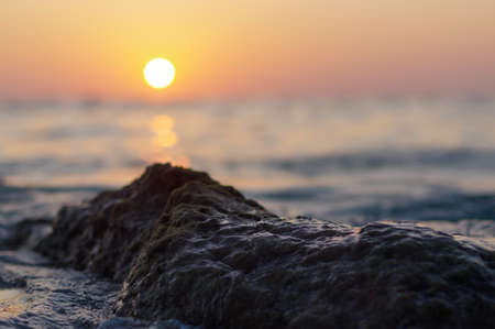 blur colorful sunset background with shell on the rock closeup, abstract natureの写真素材