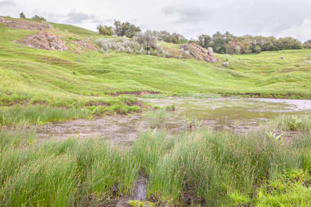 green valley and hillsの写真素材