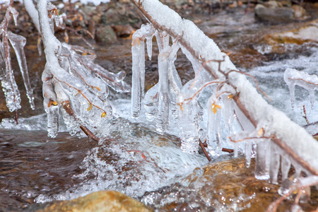 branches in iceの写真素材