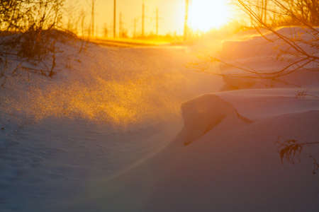 winter blizzardの写真素材