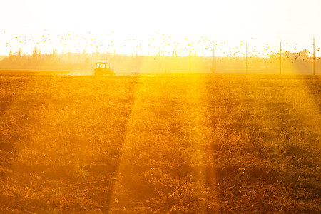 tractor on agricultural fieldの写真素材