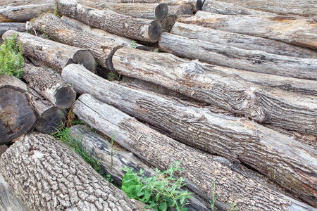 wooden logs background