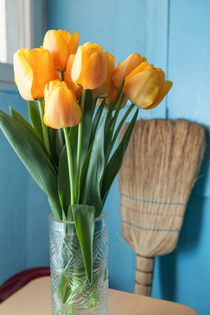 tulips and broomの写真素材