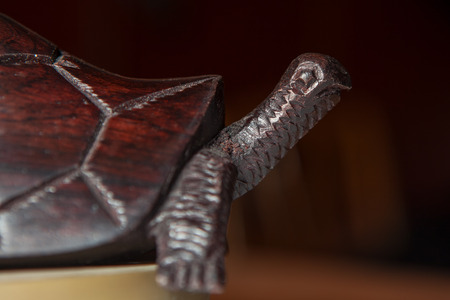 Turtle made of mahoganyの写真素材