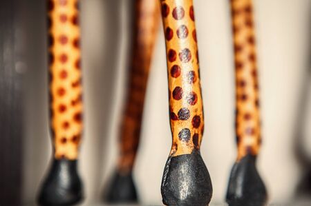 giraffe hooves