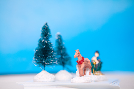 winter souvenirsの写真素材