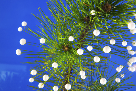 chritmas tree branch with snowflakesの写真素材