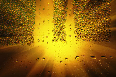 sunlight and rain dropsの写真素材