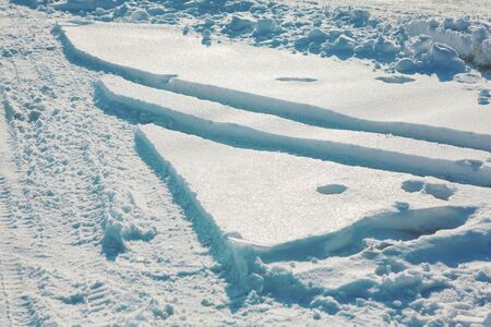 tracks on the snow