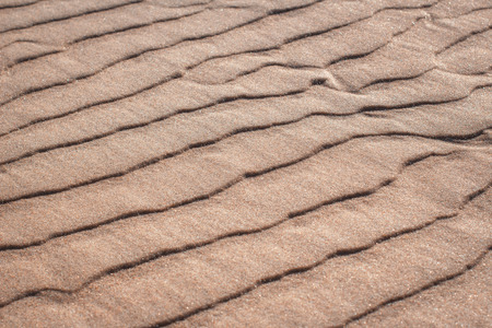 sandy lines