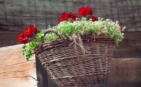 decorative basket with flowersの写真素材