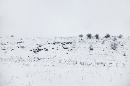 simply winter sceneryの写真素材