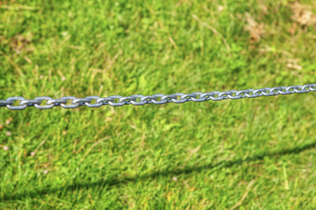 metal chain for big dogの写真素材
