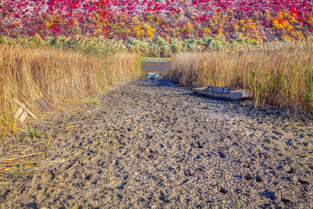 dirty shore and old boatsの写真素材