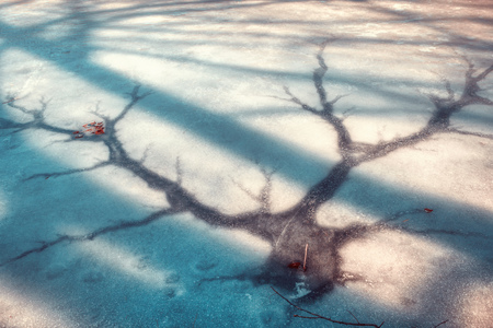 frozen lake iceの写真素材