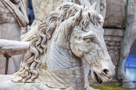 Details of horse sculpture from Capitoline Hill in Romeの写真素材