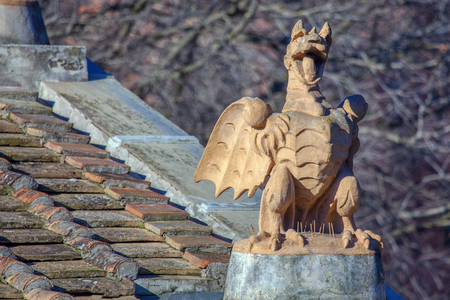 funny decorative dragon standing on the roofの写真素材