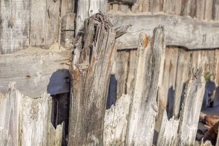 old harbour with rotten wooden slats
