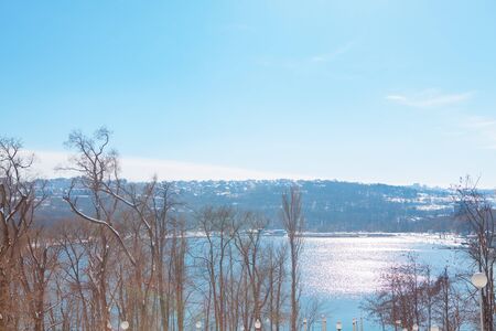 winter trees and lamp against blue skyの写真素材