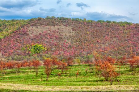 village aerial panorama in the fall seasonの写真素材