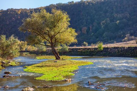 green islet on the small river
