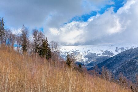 springtime wild nature of the mountains