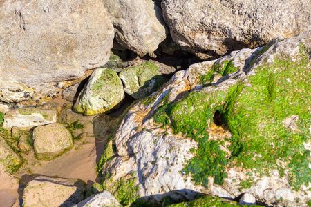 close up image of coastal rocksの写真素材