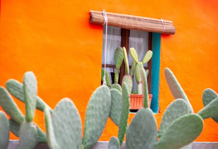 mexican rustic house with cactuses