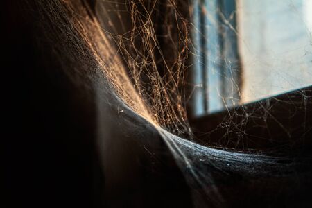 spider web in a dark corner of old houseの写真素材