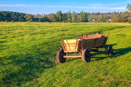 rural scene with wooden carriage on the meadow