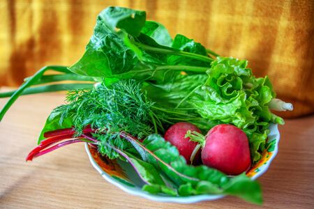 fresh vegetables for salad in the plateの写真素材
