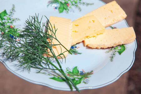 cheese with dill ,fresh and healthy snackの写真素材