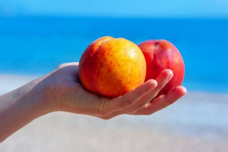 beach scene with tasty nectarines in the handの写真素材