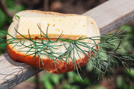 sandwich with bread and cheese with dillの写真素材