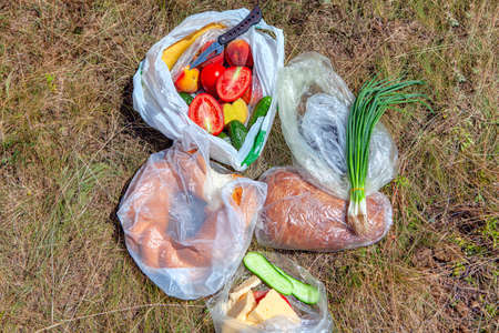 rural snack with vegetables cheese and breadの写真素材