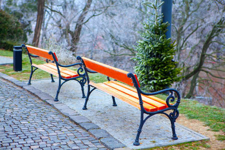 Empty benches with hoarfrost in winterの写真素材