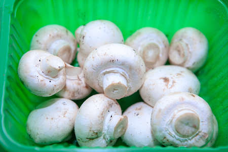Cultivated Champignon ready for preparation . White mushrooms in the green box