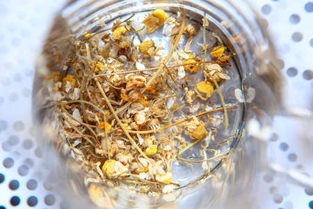 dried chamomile plants for preparing a healing infusionの写真素材