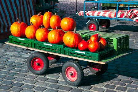 Pile of pumpkins in carriage at the market placeの写真素材