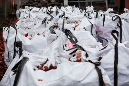 Autumn leaves in bags for fertilizerの写真素材