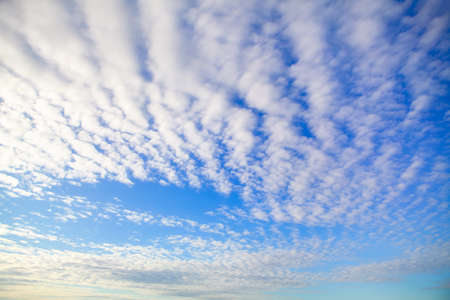 Cirrocumulus stratiformis in the morning . Rows of white clouds