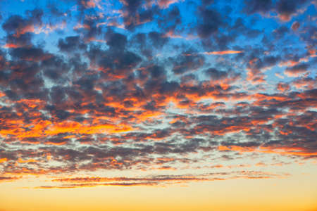 Stratocumulus low clouds on the evening sky