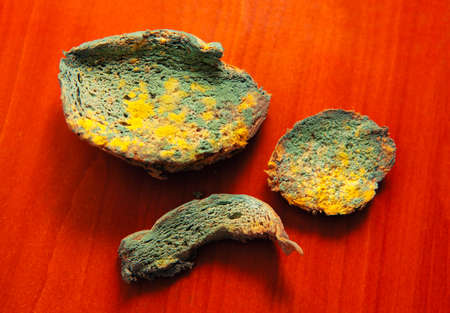 Stale and moldy bread not good for eatingの写真素材