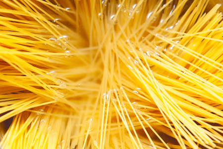 Macaroni in boiling water in the potの写真素材