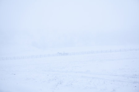 Foggy winter day . Snowy hills in the village  . One horse open sleighの写真素材