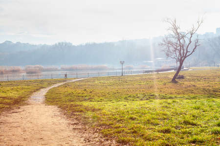 Morning walking on the path in lawn meadow