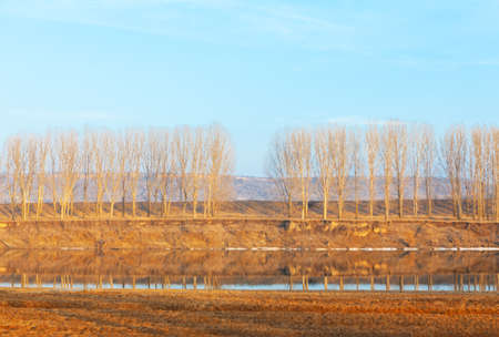 Trees growing in a row across the river . Spring riverside scenery with melting iceの写真素材