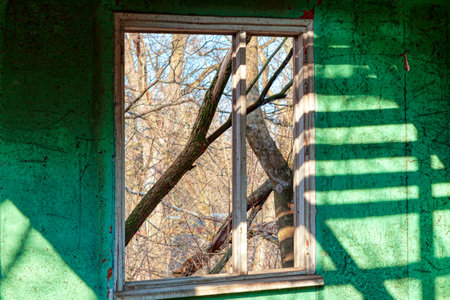 Interior aged green wall with broken window , part of abandoned house . Abstract shadow on the old...