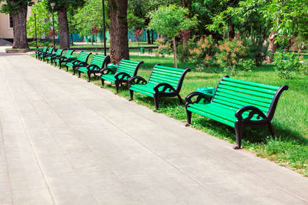 Benches in a row . Pavement in the city park . Empty benches in the daytimeの写真素材